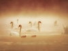 Aleš Komovec - Misty lake