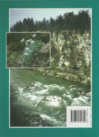 scan-zarta-2
