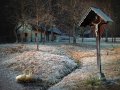 Niko Sladič » Three geese«